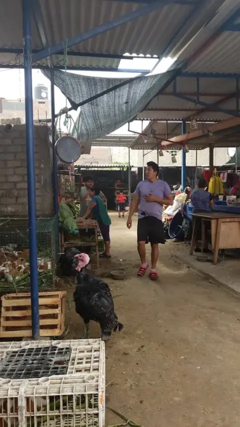Mercado bolivar