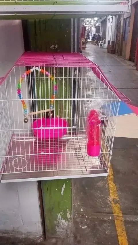 Jaula para aves con juguete y comedero