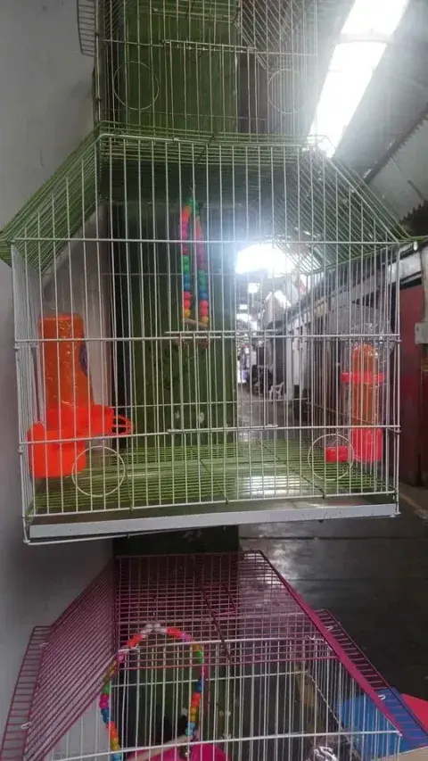 Jaula tipo casa para canarios y aves pequeñas
