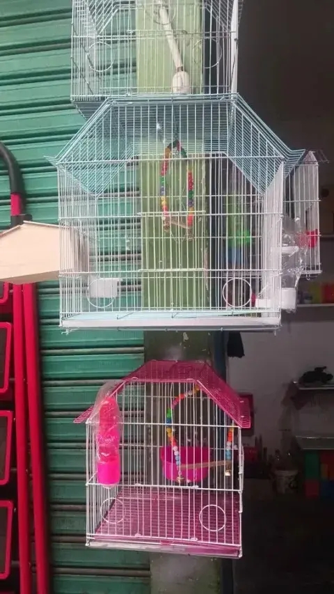 Jaulas apilables para aves