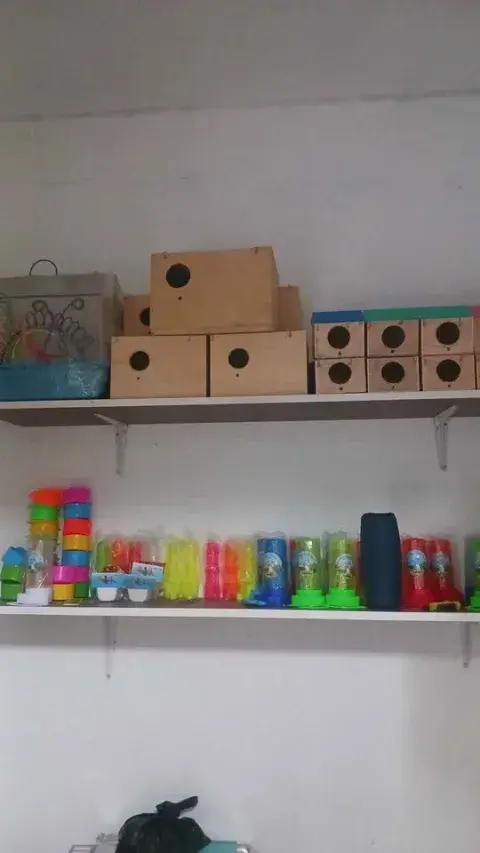 Nidos de madera para aves
