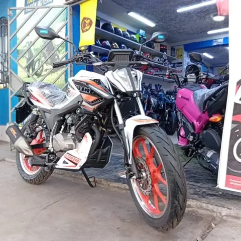 Cascos y accesorios para motos