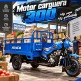 Motor Carguera Ronco 300