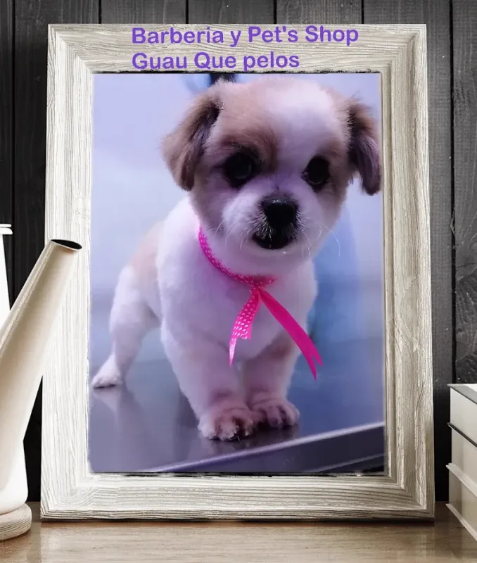 Foto 4