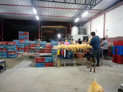 Mercado Mayorista