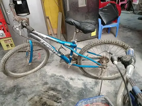 Bicicletas