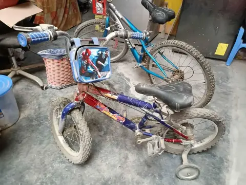 Bicicletas