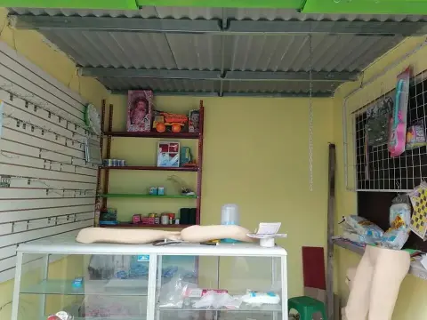 Vendo puesto