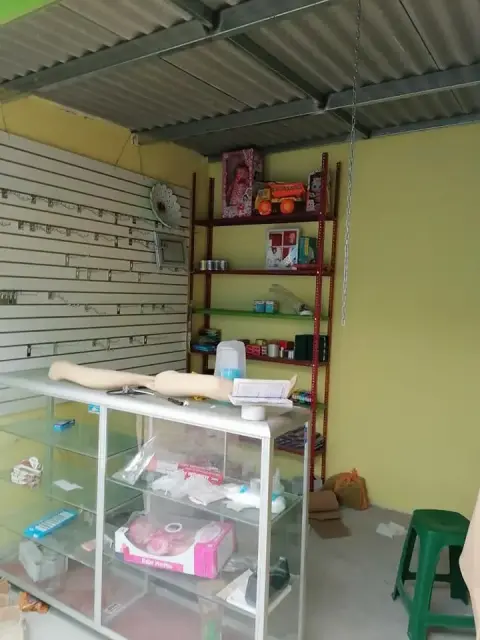 Vendo puesto