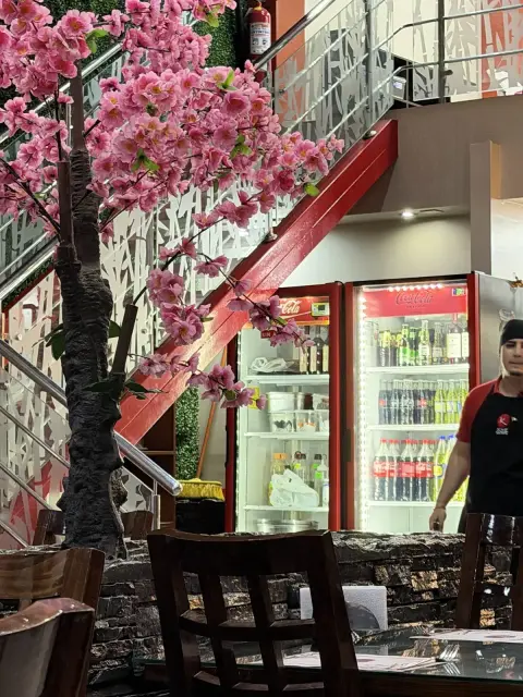 Okane Restaurant Comida Oriental