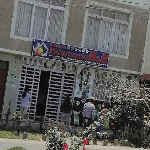 Omar de patas Veterinaria & Spa Canino