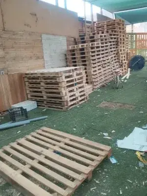 Parihuelas de pino por lote
