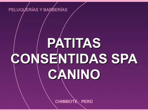 PATITAS CONSENTIDAS SPA CANINO