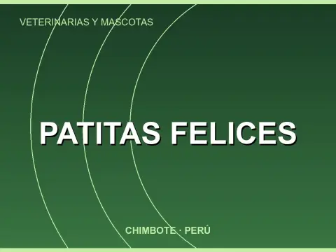 Patitas felices