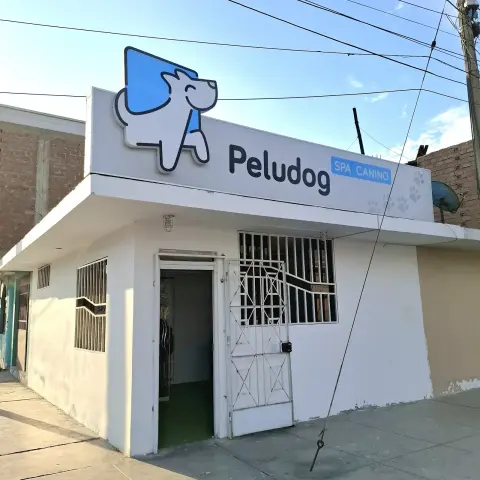 Peludog Spa Canino