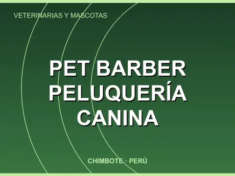 pet barber peluquería canina