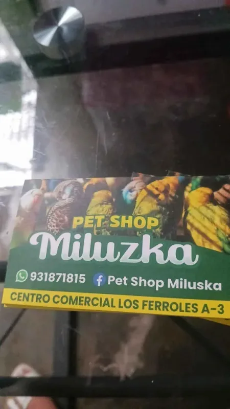 Pet Shop Miluzka en Chimbote: hámsters sirios, aves, conejos y cuyes, jaulas, bebederos, comederos y accesorios para mascotas