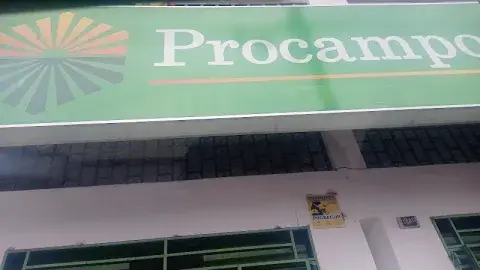 PROCAMPO CHIMBOTE