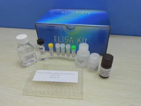 Cambio de kit de arrastre completo con cadena reforzada