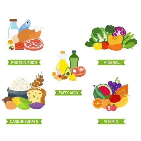 Venta de alimento balanceado premium para perros adultos