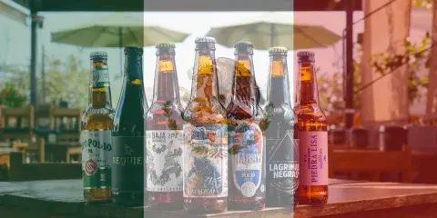 Cerveza artesanal estilo IPA de barril 500ml