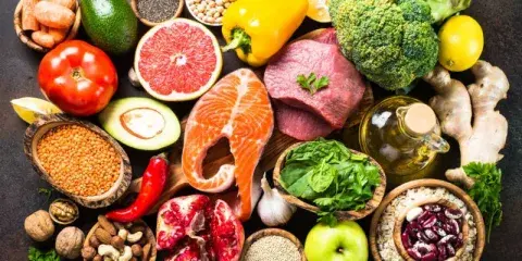 Alimento para Perros con Problemas Renales - 7 kg (Bajo en Fósforo)