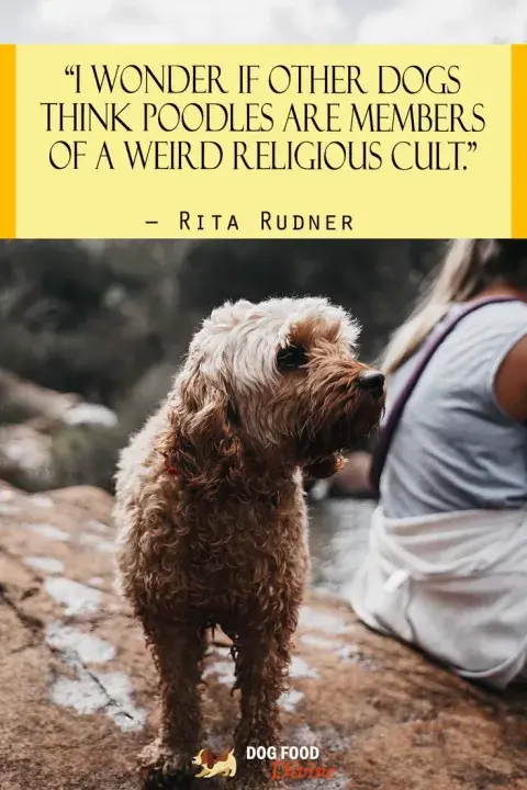 Alquiler de mantelería de lujo para mesas principales