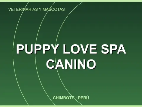 Puppy Love Spa Canino