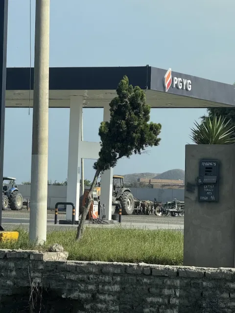 Atención 24 horas