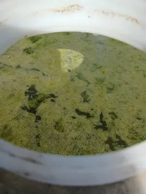 Limpieza y desinfección de tanque elevado