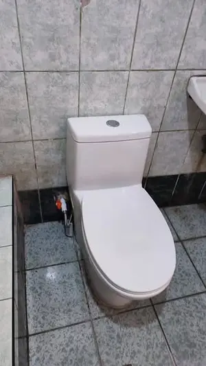 Instalación de inodoro y trabajos sanitarios