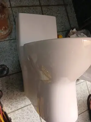Instalación de inodoro y trabajos sanitarios