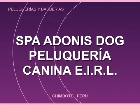 spa ADONIS DOG peluquería canina E.I.R.L.