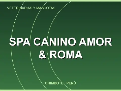 Spa Canino Amor & Roma