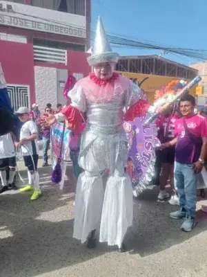Zancudos y arlequines