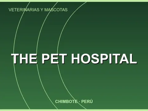 The Pet Hospital