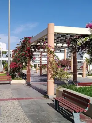 Universidad Nacional del Santa