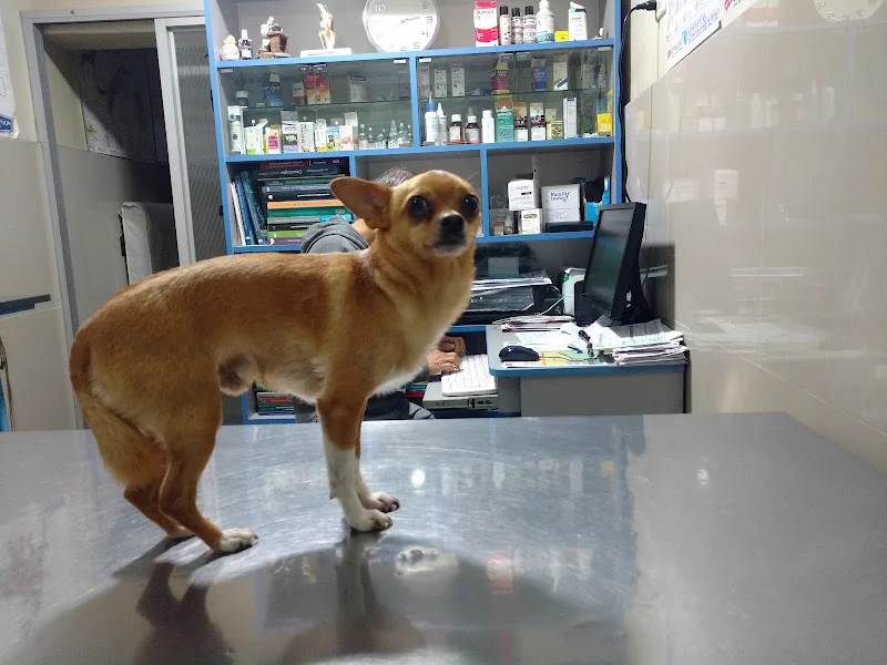Veterinaria Cosavet