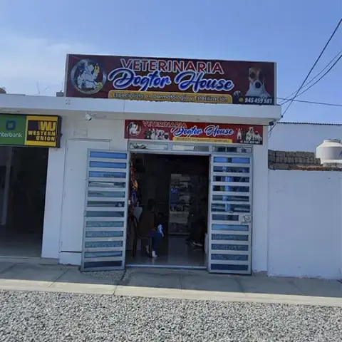 VETERINARIA Doctor House