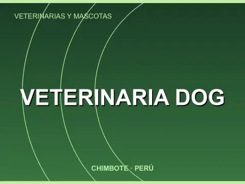 veterinaria dog