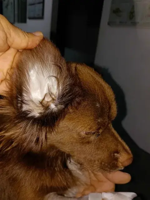 Foto 5