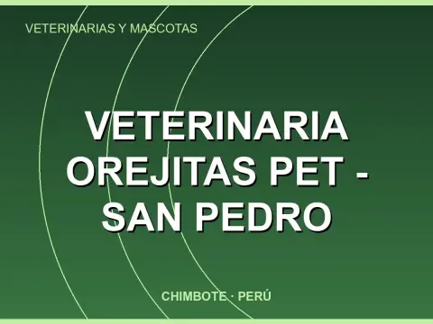 Veterinaria Orejitas Pet - San Pedro