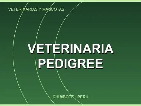 Veterinaria Pedigree