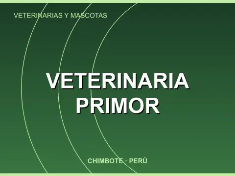 Veterinaria Primor