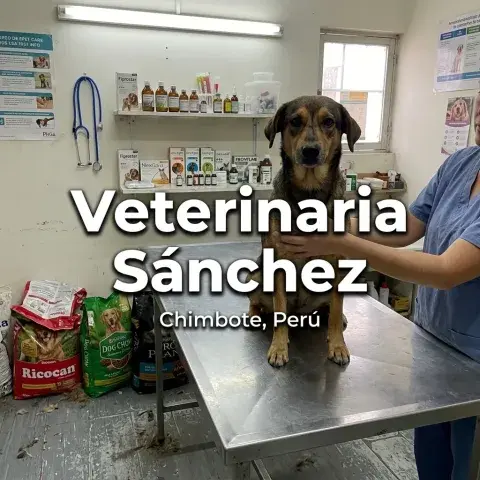 Veterinaria Sánchez