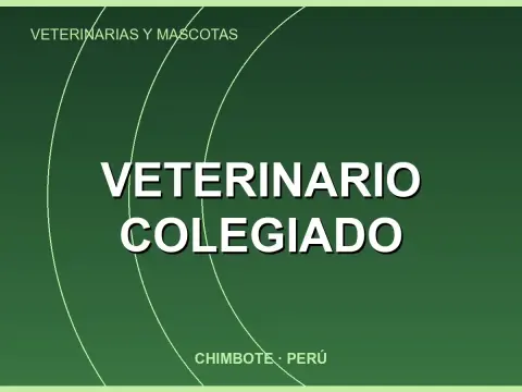 Veterinario Colegiado