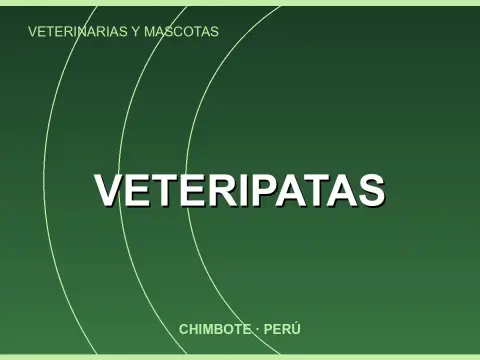 Veteripatas